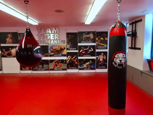 Tiger Schulmann's Martial Arts (Chelsea, NY)