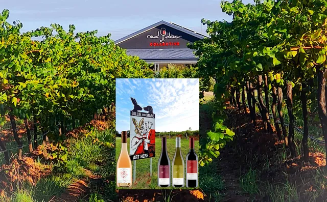 Red Door Collective - RDC Vineyard Estate