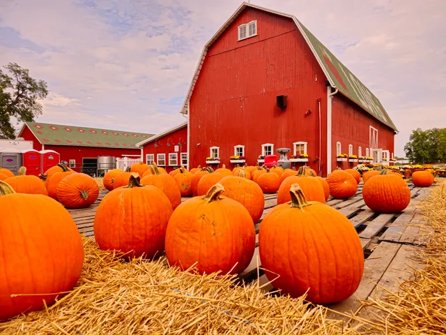 Long Family Orchard & Farm