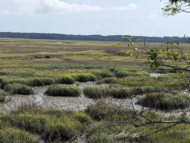 Jekyll Island Guest Information Center