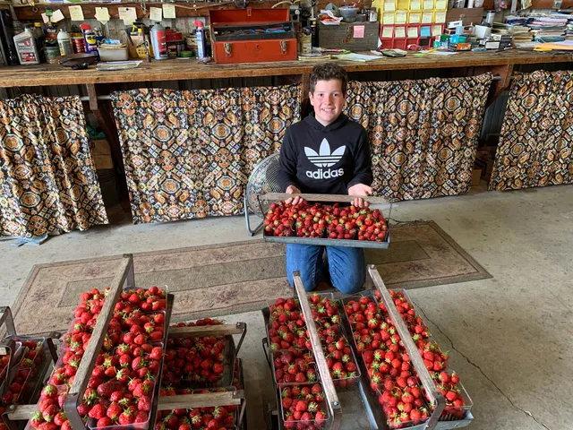 Grossnickle Farms, LLC