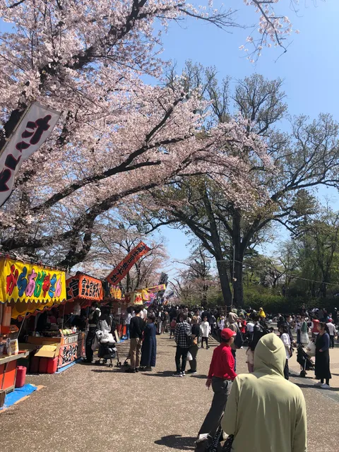 Fujimori Park Flea Market