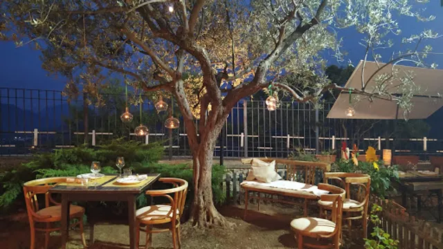 Ristorante "IL SALICE"