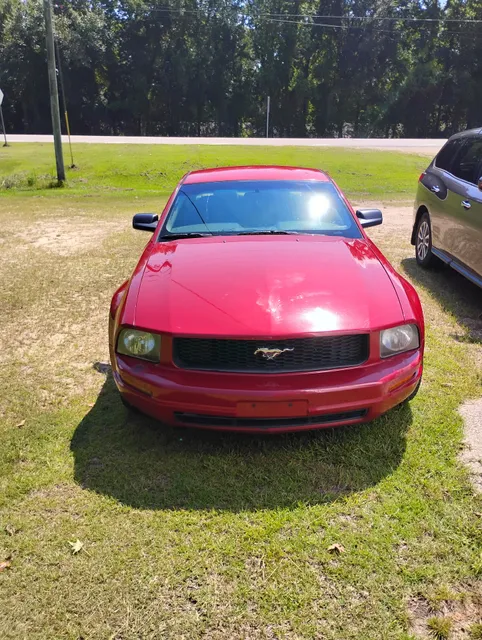 Rainforest Carwash & Oil Change Petal