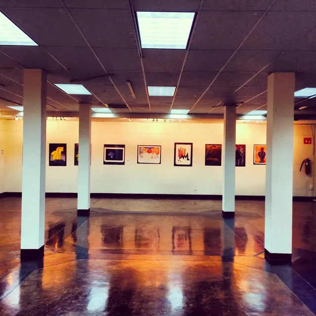 Galería del Centro de las Artes Unison