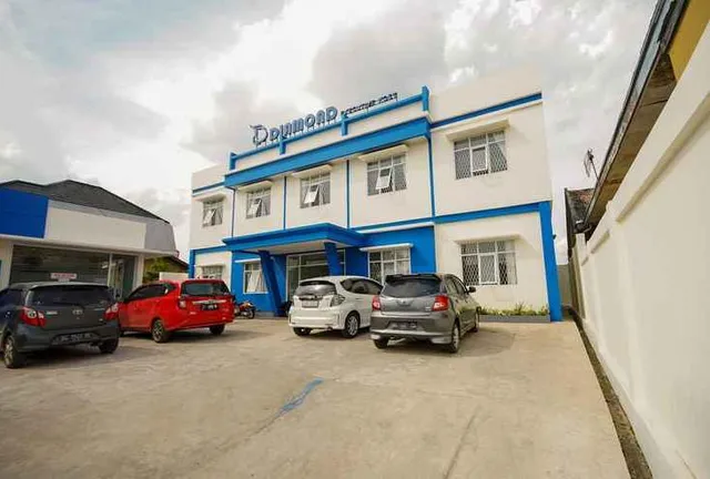 Diamond Executive Kost