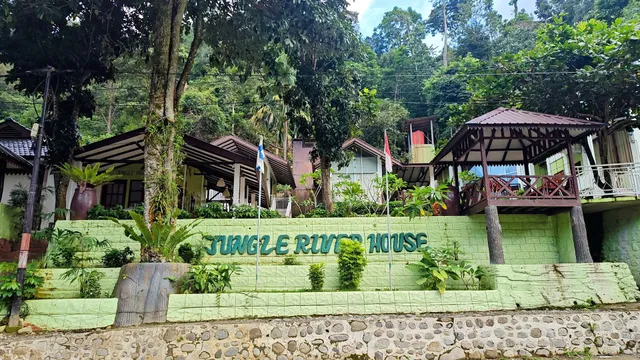 Jungle River House