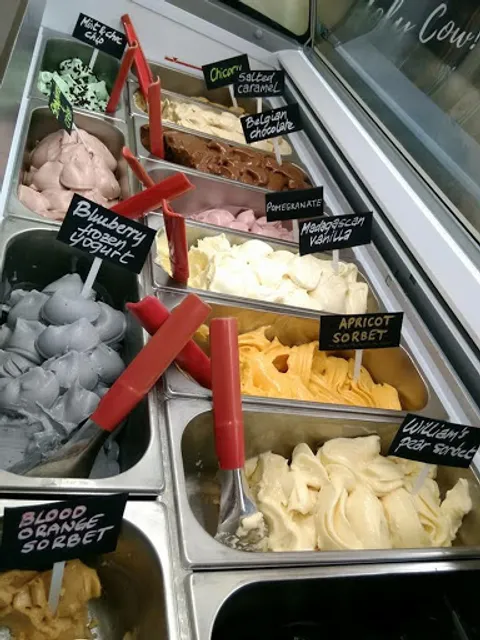 Holy Cow! Ice Cream Company Ltd