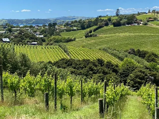 The Wine Tasting Company