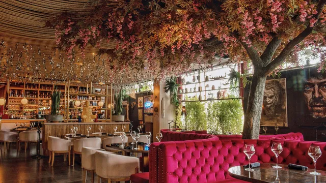 Viva la Vida | Restaurante Asiatico