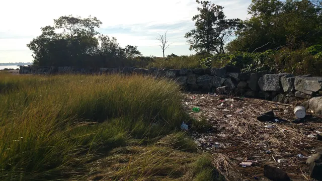 City Island Wetlands