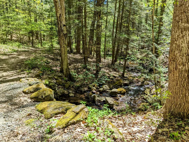 Naugatuck State Forest