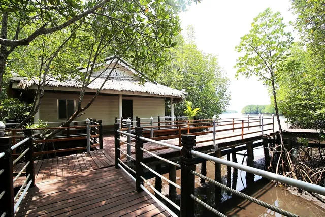 Mangrove Sanctuary Resort