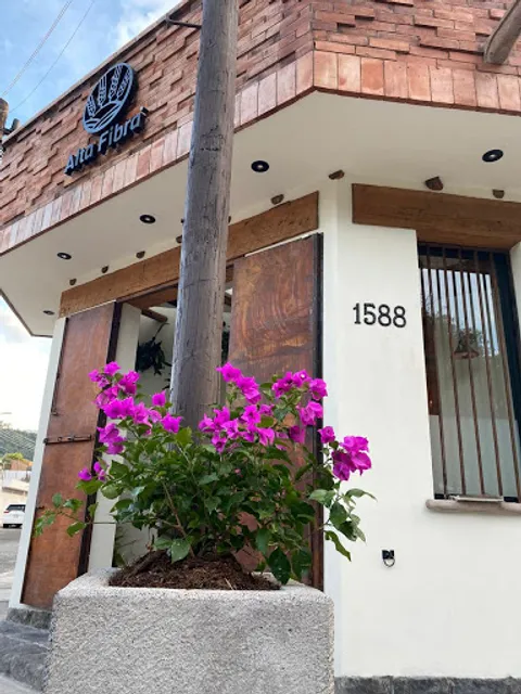 Alta Fibra