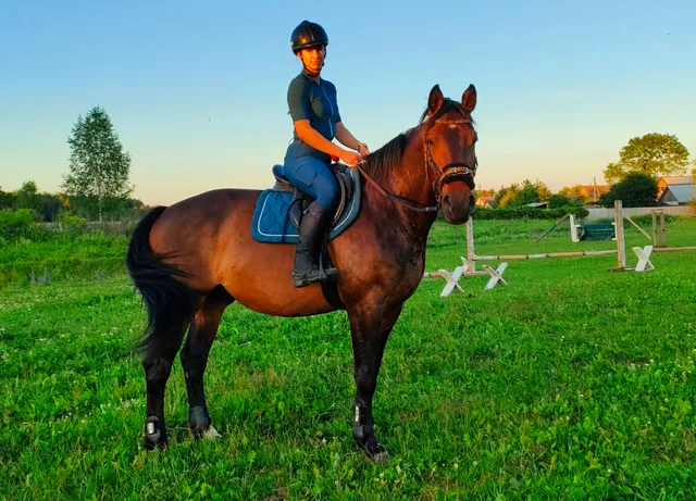 Верхнякрывінскі сельскі Савет