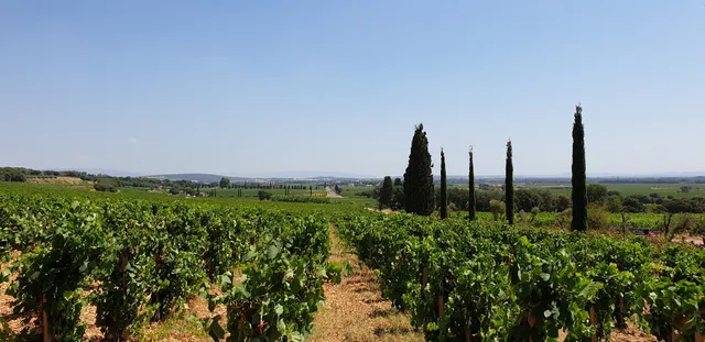 Château Fortia Sarl