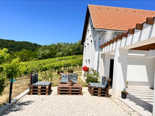 Antmann Pince BOR | TERASZ | SZÁLLÁS