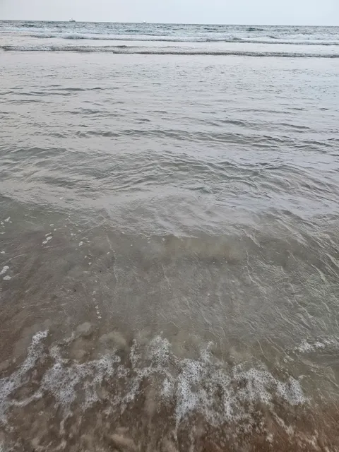 Daytona Beach Shores Public Safety Department