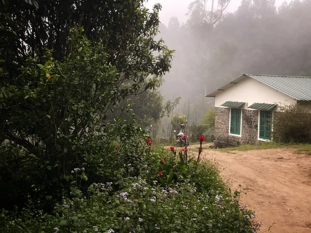 Lone Tree Creek Farm Stay Pazhathottam