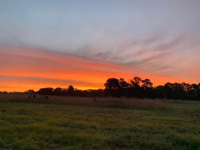 Triangle Land Conservancy