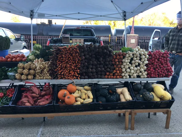 Red Wing Farmers Market