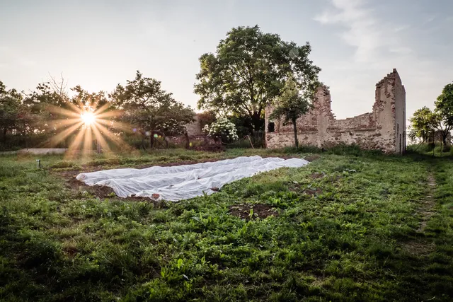 Dobro-družný statek