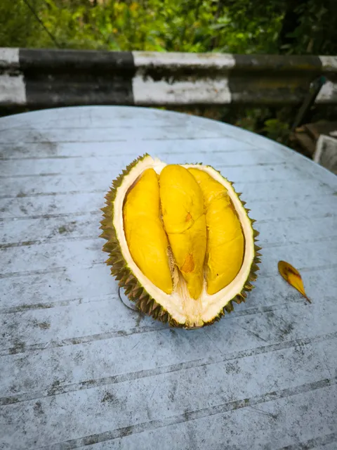 Ah Huat Durian Farm