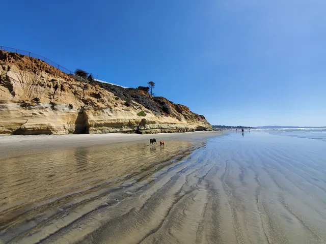 Del Mar Beach Club Owners Association