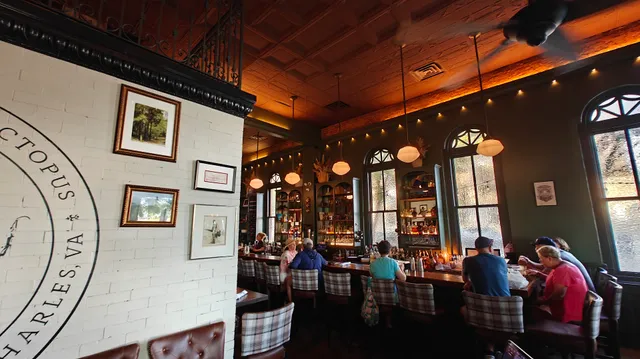 The Elephant & Octopus