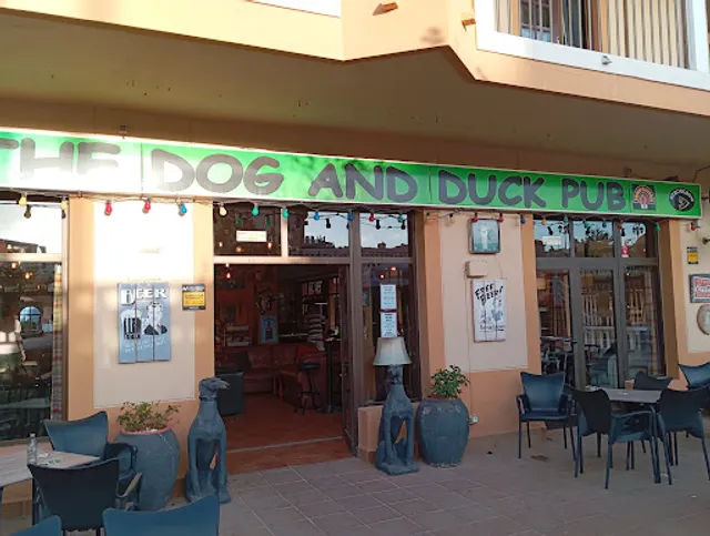 The Dog and Duck Pub