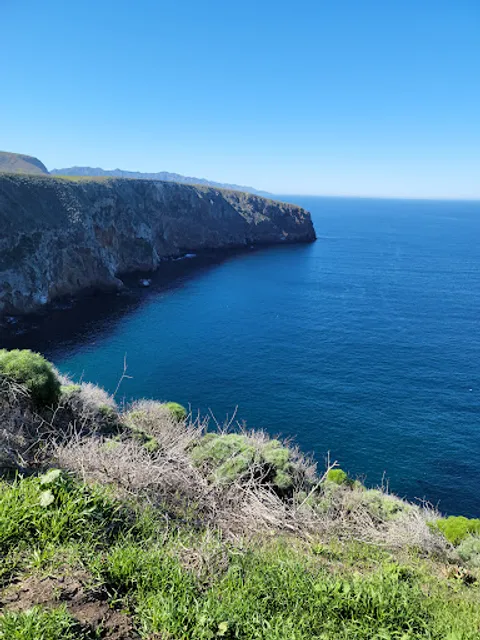 Santa Cruz Island