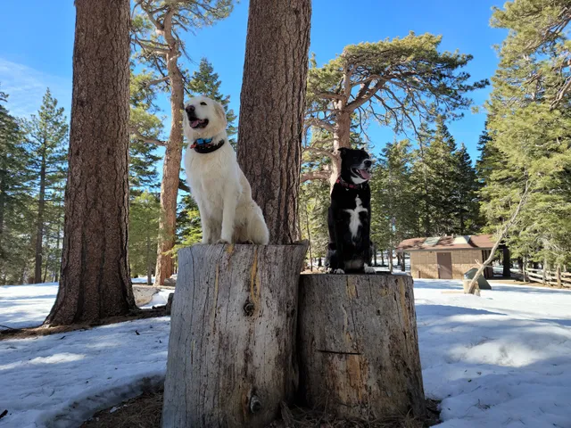 Jackson Flat Group Campground