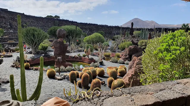 Bar & Cafetería - Jardín De Cactus