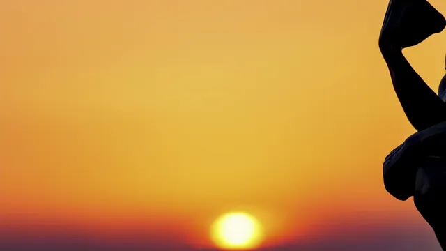 Loyal I.T. Computer Repair and Services