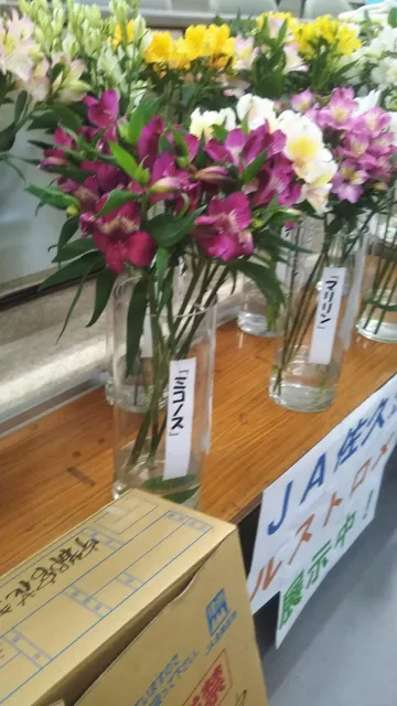 宇都宮花き地方卸売市場/㈱宇都宮花き