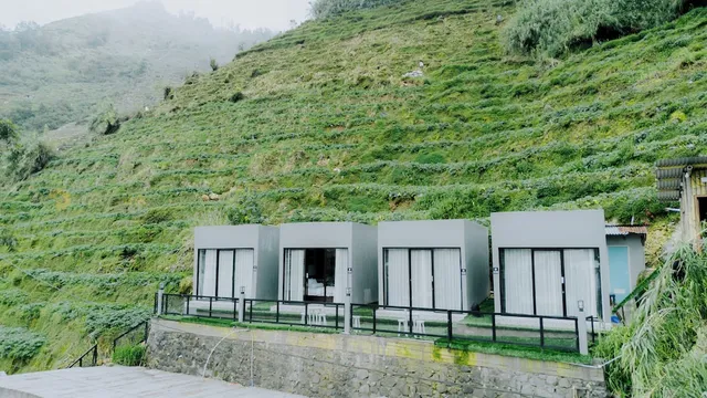 Stigma Kubus By Travelink