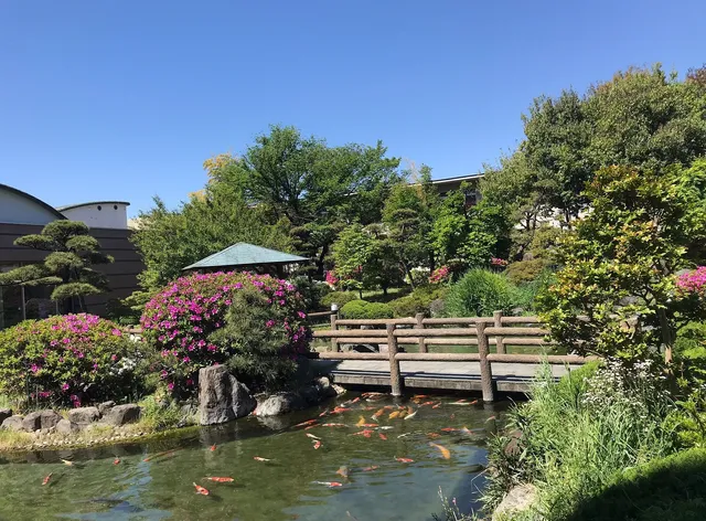 Chateraise Hotel Isawa