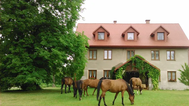 Agroturystyka POLANKA