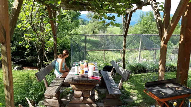 Apartment Rakušček