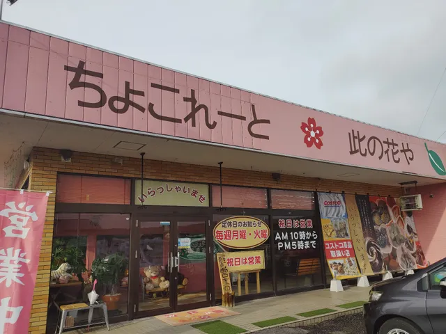 ちょこれーと此の花や