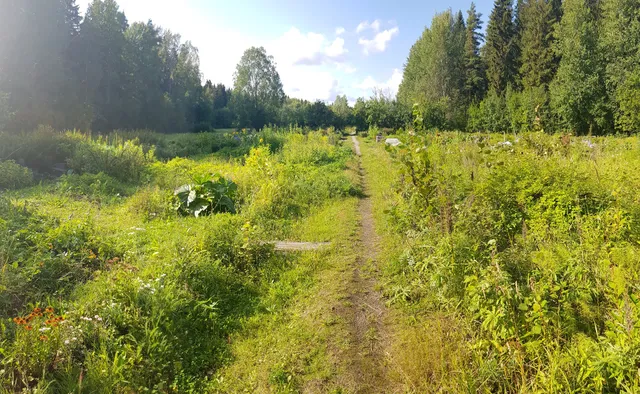 Heinämiehentien koirapuisto