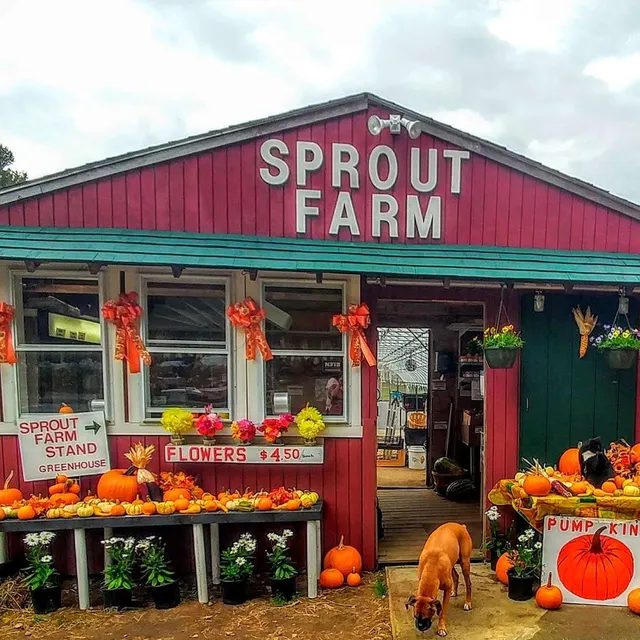 Sprout Farm Stand