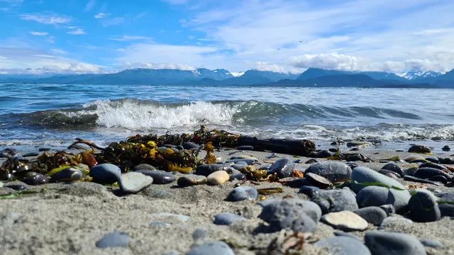 End of the Road Park