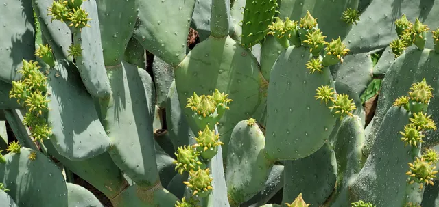 Kirk Hopper Fine Art