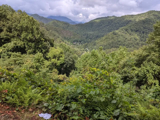 Ballhoot Scar Overlook