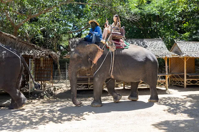 Pattaya Elephant Village