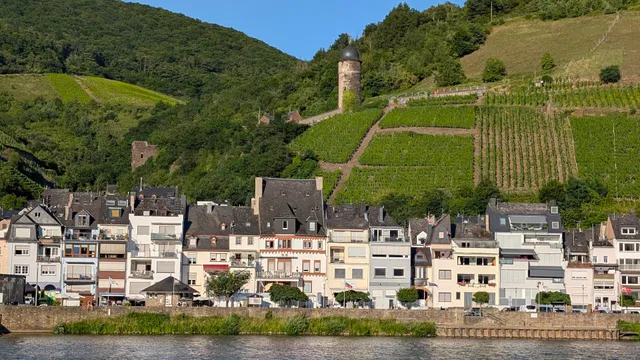 Ferienhaus An der Mosel