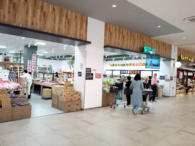 葉菜の森 ららぽーと堺店