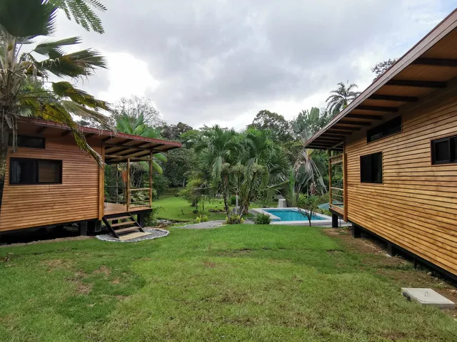 Buena Onda -Jungle Lodge