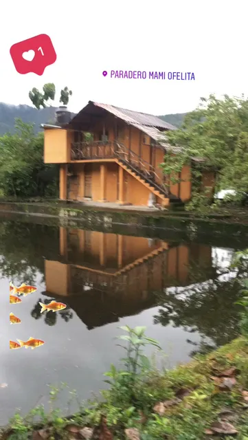 Paradero Mami Ofelita